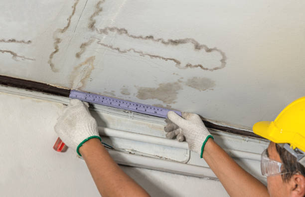Reliable Structural Drying contractor in Palestine, OH by Hirex Water Damage